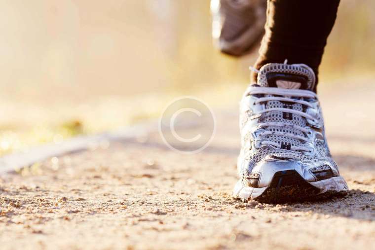 Help Save the Sumatran Orangutans!